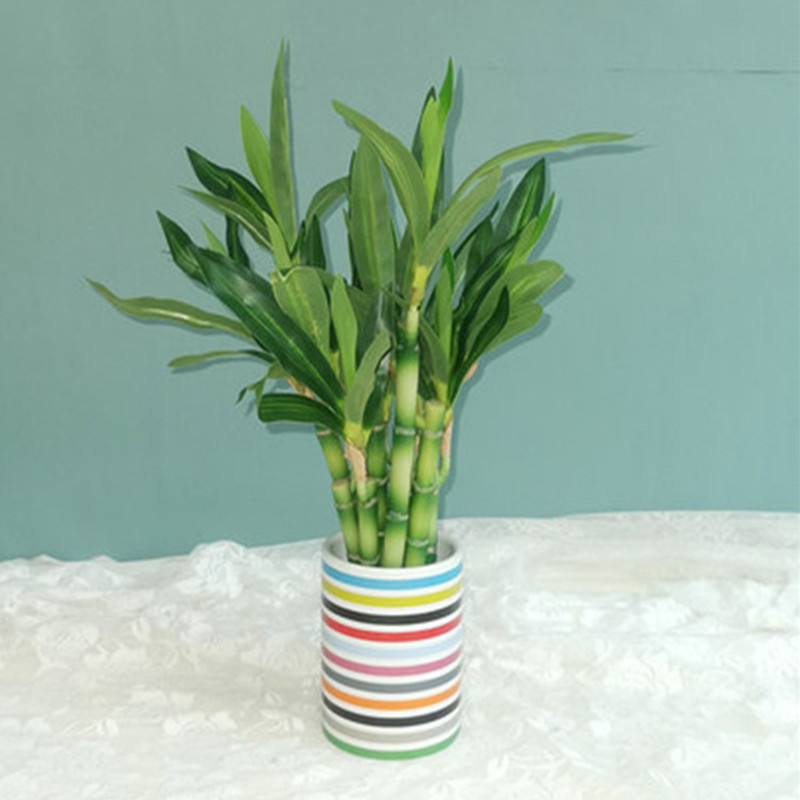 New 40cm rFtificial Lucky Bamb - Outdoor Furniture Green ulasan dan harga